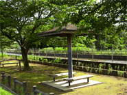 公園